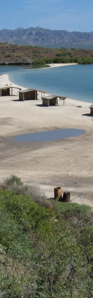 Tauchreisen auf Guadalupe in Mexiko